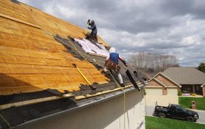 robert-linder-2yYPRc0QqNo-unsplash